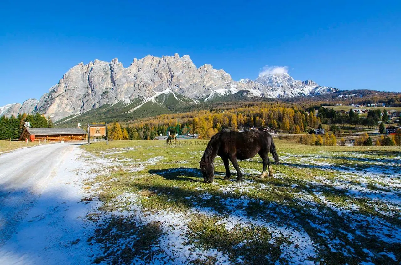 Apartmán Hotel Casa Cadin Cortina dʼAmpezzo Itálie